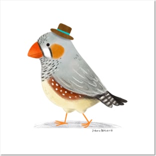 Zebra Finch Bird with Hat Posters and Art